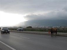 Conducir Marruecos